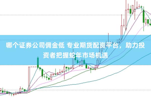 哪个证券公司佣金低 专业期货配资平台,助力投资者把握蛇年市场机遇