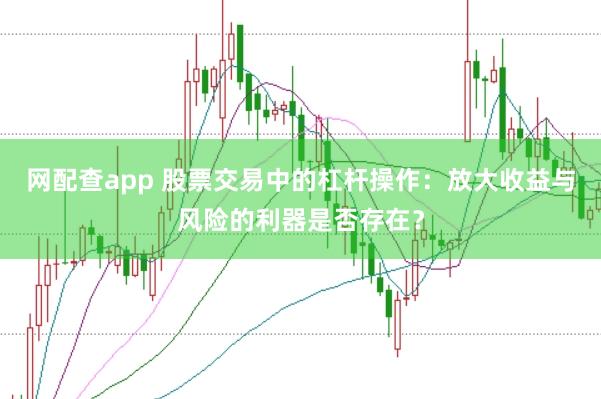 网配查app 股票交易中的杠杆操作:放大收益与风险的利器是否存在?