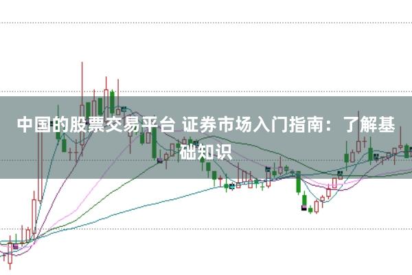 中国的股票交易平台 证券市场入门指南:了解基础知识