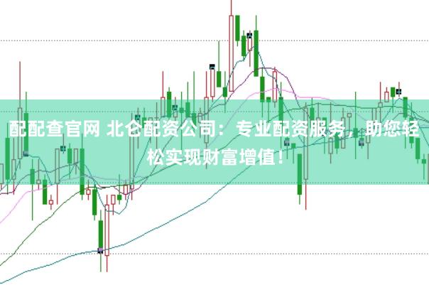 配配查官网 北仑配资公司:专业配资服务,助您轻松实现财富增值!