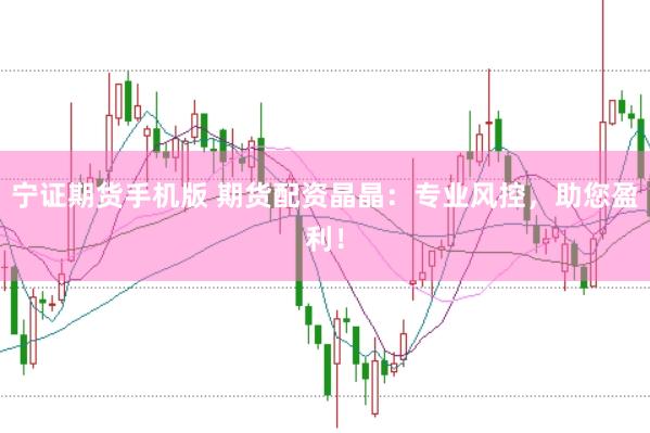 宁证期货手机版 期货配资晶晶：专业风控，助您盈利！