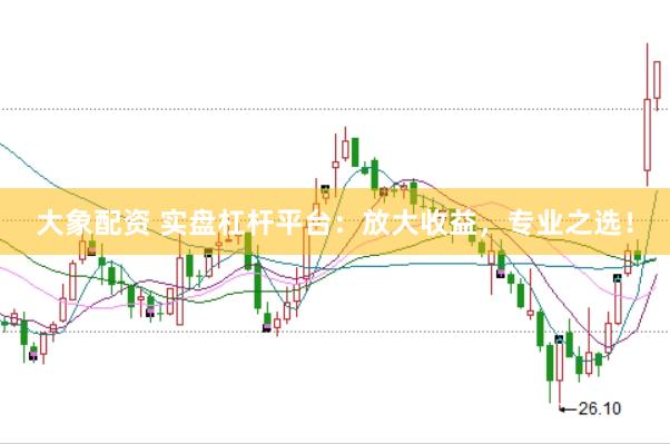 大象配资 实盘杠杆平台:放大收益,专业之选!