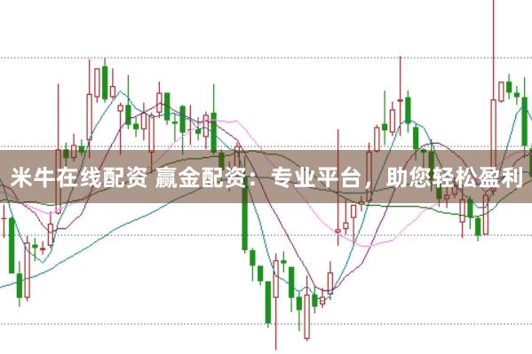米牛在线配资 赢金配资：专业平台，助您轻松盈利