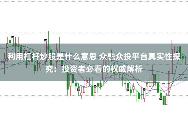 利用杠杆炒股是什么意思 众融众投平台真实性探究：投资者必看的权威解析