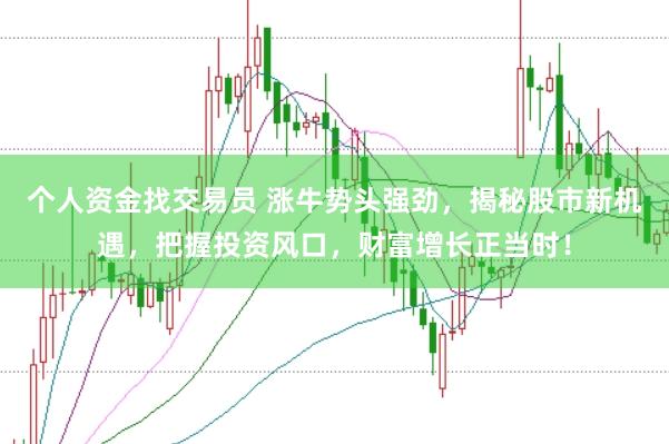 个人资金找交易员 涨牛势头强劲，揭秘股市新机遇，把握投资风口，财富增长正当时！