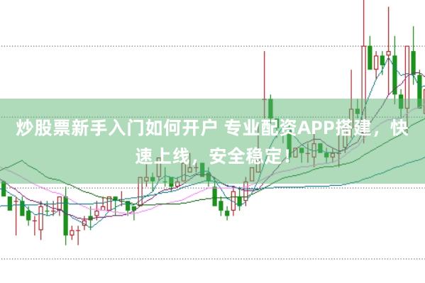 炒股票新手入门如何开户 专业配资APP搭建，快速上线，安全稳定！
