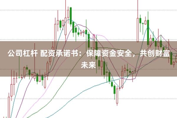 公司杠杆 配资承诺书：保障资金安全，共创财富未来