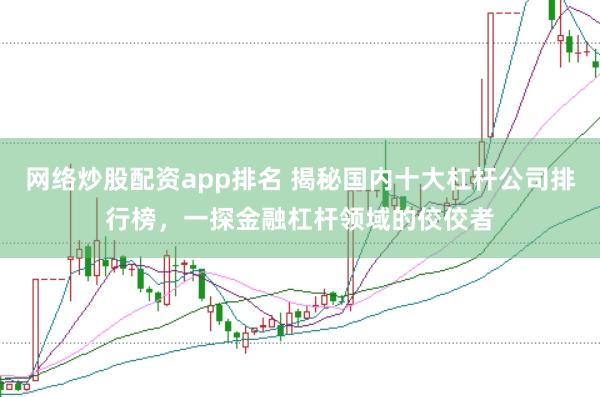 网络炒股配资app排名 揭秘国内十大杠杆公司排行榜,一探金融杠杆领域的佼佼者