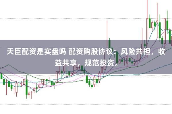 天臣配资是实盘吗 配资购股协议：风险共担，收益共享，规范投资。