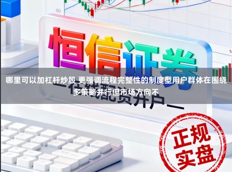 哪里可以加杠杆炒股 更强调流程完整性的制度型用户群体在围绕多策略并行但市场方向不