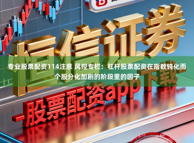 专业股票配资114注意 风控专栏：杠杆股票配资在指数钝化而个股分化加剧的阶段里的因子
