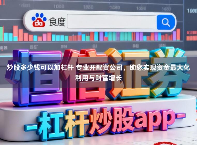 炒股多少钱可以加杠杆 专业开配资公司，助您实现资金最大化利用与财富增长